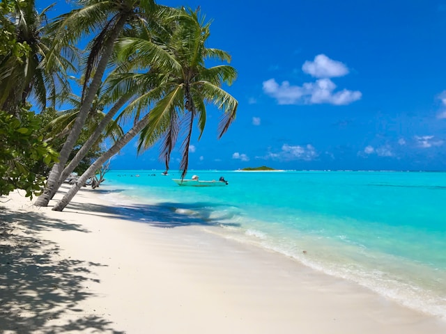 A Taniti beach with tropical trees on the left side